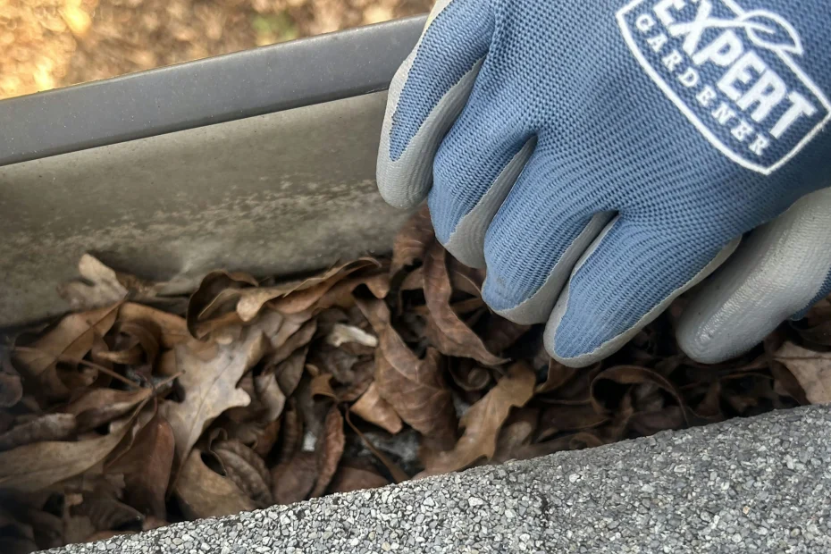 Gutter Cleaning Searcy AR